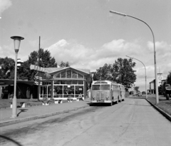 Magyarország, Szekszárd, Pollack Mihály utca, autóbusz-pályaudvar., 1965, UVATERV, autóbusz, magyar gyártmány, Ikarus-márka, Ikarus 30, buszpályaudvar, Fortepan #27040