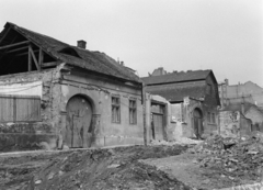 1971, Vozárik Edit, Fortepan #270459