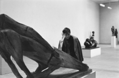 1965, Ungváry Rudolf, exhibition, modern art, sculpture, Fortepan #270534