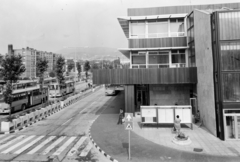 Hungary, Pécs, Zólyom utca, autóbuszállomás., 1982, UVATERV, crosswalk, Ikarus-brand, Fortepan #270660