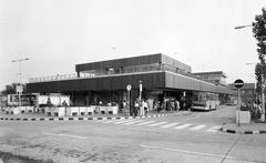 Hungary, Pécs, Zólyom utca, autóbuszállomás., 1982, UVATERV, crosswalk, Ikarus-brand, Fortepan #270662