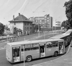 Magyarország, Celldömölk, Wesselényi utca, az autóbuszok a vasútállomás előtt állnak., 1984, UVATERV, autóbusz, Volán-szervezet, Ikarus-márka, Ikarus 260, Fortepan #270668