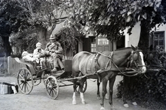 1936, Fodor András örökösei, játékmackó, játék baba, lovaskocsi, Fortepan #270751