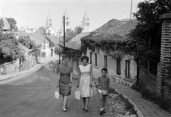 Magyarország, Pécs, Damjanich utca, szemben a Bartók Béla utca épületei felett a Szent Péter- és Szent Pál-székesegyház tornyai., 1964, Fodor András örökösei, székesegyház, Fortepan #270861