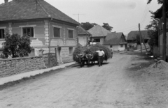 1977, Fodor András örökösei, chariot, hay, buffalo, Fortepan #270964