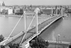 Magyarország, Budapest, Erzsébet híd a Gellérthegyről nézve., 1965, Drimbe József, Fortepan #27102