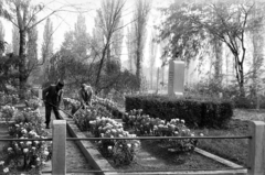 Hungary, Csorna, Kárpát utcai Őrangyal temető, szovjet emlékmű., 1959, Lipovits Károly, flower bed, monument, gardening, Fortepan #271066