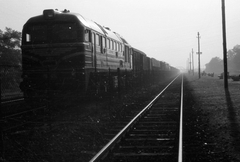 Magyarország, Budapest X., Kőbánya - Kispest vasútállomás., 1965, Drimbe József, MÁV, vasút, szovjet gyártmány, vasútállomás, dízelmozdony, MÁV M62 sorozat, felüljáró, Budapest, Fortepan #27109