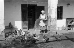 1959, Lipovits Károly, porch, feeding, poultry, Fortepan #271107