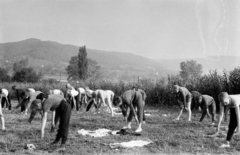 Magyarország, Balatongyörök, táborozók reggeli tornája., 1963, Lipovits Károly, Fortepan #271205