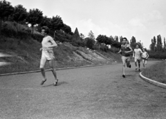 Magyarország, Pécs, a felvétel a Pedagógiai Főiskola (később Pécsi Tudományegyetem) sportpályáján készült, balra a botanikus kert., 1957, Lipovits Károly, férfiak, sportpálya, futás, Fortepan #271303