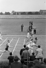 1959, Lipovits Károly, Best of, photo finish, Fortepan #271312