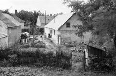 1959, Lipovits Károly, twig fence, yard, Fortepan #271447