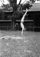 1960, Lipovits Károly, feat, handstand, Fortepan #271635