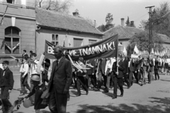 1966, Lipovits Károly, vietnámi, propaganda, felvonulás, transzparens, Fortepan #271717