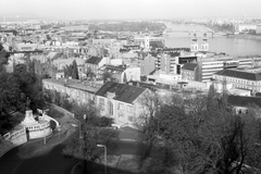 Magyarország, budai Vár, Budapest I., kilátás a Halászbátyáról a Vízivárosra, háttérben a Margit-sziget., 1984, Drimbe József, Budapest, Hunyadi János-ábrázolás, Fortepan #27173