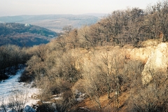 Magyarország, Budapest II., Kilátás a Nagy Hárs hegy déli oldaláról a Pozsonyi hegy és a Petneházy rét irányába., 1987, Drimbe József, Budapest, Fortepan #27180