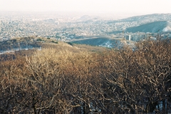 Magyarország, Budapest II., Nagy-hárs-hegy, látkép a Kaán Károly-kilátóból., 1987, Drimbe József, látkép, Budapest, Fortepan #27181