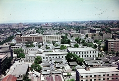 Kína, Peking, 1966, Cseriti, Fortepan #272307