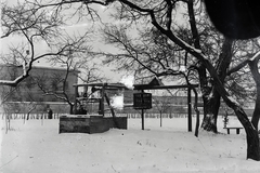 Magyarország, Kecskemét, a Szentháromság piarista templom és rendház kertje (a későbbi piac területe 1950-től), háttérben balra a Budai utcai iskola épülete. A kertben bolgárkertészet szisztémával szabályosan parcellázott ágyások voltak egy kúttal, és vízkiemelő bolgárkerékkel., 1931, Németh András dr, Fortepan #272376