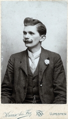 1908, Hámornik Balázs, moustache, Fortepan #272454