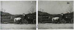 Slovenia, Rogatec, szemben a vasútállomás., 1903, Schoch Frigyes, railway, carriage, Horse-drawn carriage, train station, teamster, stereophoto, Fortepan #27263