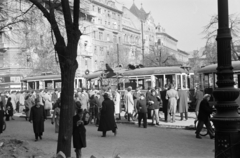 Magyarország, Budapest VIII., József körút a Rákóczi tér felé nézve., 1956, Papp Dezső, villamos, Budapest, Fortepan #272707