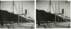 Croatia, Rijeka, Carpathia személyszállító hajó a kikötőben., 1903, Schoch Frigyes, ship, port, steamboat, cruise ship, stereophoto, Carpathia-ship, Fortepan #27281