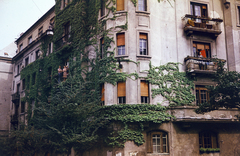 Magyarország, Budapest II., Káplár utca - Fillér utca sarok., 1976, Fortepan/Album085, Budapest, Fortepan #272875