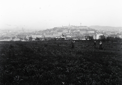 Magyarország, Budapest II., kilátás a budai Vár és a gellért.hegy felé a Garas utca - Érmelléki utca utca környéki területről., 1915, Flanek-Falvay-Kováts, Budapest, Fortepan #272928