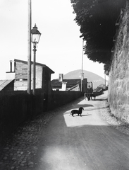 Ausztria, Salzburg, Festungsgasse, a felvétel a Hohensalzburg és a bencés kolostor felé vezető úton készült., 1908, Flanek-Falvay-Kováts, tacskó, gázlámpa, kézikocsi, kutya, Fortepan #272960