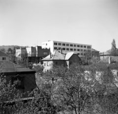 Magyarország, Budapest XI., lakóházak a Brassó út - Tömös utca - Törcsvár utca közötti területen, távolabb az Érdi út 2. szám alatti Érdi úti Általános Iskola (később Farkasréti Általános Iskola) látható., 1961, Schermann Ákos, Budapest, Fortepan #273001