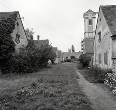 Hungary, Majkpuszta, Oroszlány, Kamalduli remeteség., 1977, Schermann Ákos, Fortepan #273102