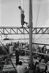 Hungary, Budapest, Masszandra folyam-tengeri áruszállító motorhajó a Dunán, szemben a Szentendrei-sziget., 1949, Kern család, Best of, ship, boat trip, tightrope walker, Fortepan #273254