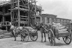 Magyarország, Dunaújváros, (Dunapentele), a felvétel az iparváros építésének kezdetén készült., 1950, Kern család, kordé, állvány, építkezés, építőanyag, teherhordás, ló, Fortepan #273269