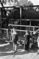 1947, Kern család, railing, kid, beret, shorts, elephant, Fortepan #273378