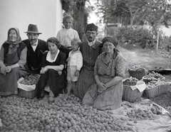 1936, Vargha Zsuzsa, krumpli, Fortepan #273512