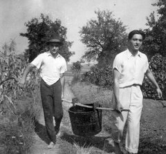 Hungary, Tabajd, szüret., 1936, Mészöly Leonóra, hat, youth, harvest, men, grape, vine hill, vine, Fortepan #27356