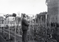 Magyarország, Budapest XVIII., Németh József (Bánffy Dezső) utca 29. számú ház kertje., 1934, Tamássy Andrea, Budapest, Fortepan #273672