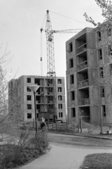 1969, Szilvási hagyaték, construction, crane, Fortepan #273719