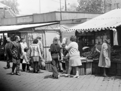 1977, Szilvási hagyaték, Fortepan #273802