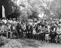 Hungary, Szigetmonostor, Horány, a Természetbarátok Turista Egyesülete (TTE) Vörös Meteor vizitelepe, ünnepség résztvevői a munkásmozgalmi emlékműnél., 1965, Szilvási hagyaték, Fortepan #273876