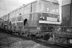 Ziu-5 típusú trolibuszok., 1968, Mészöly Leonóra, Hungarian Railways, railway, Soviet brand, trolley bus, Fortepan #27403