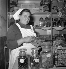 1959, Kotnyek Antal, candy store, Fortepan #274113