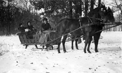 Magyarország, Bagamér, 1942, Mészöly Leonóra, tél, hó, ló, kocsis, szán, Fortepan #27461