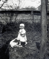 1916, Sibinger János, dog, girl, Fortepan #274730