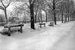 Hungary, Budapest I., Tóth Árpád sétány (Gróf Bethlen István bástyasétány) déli szakasza a Fehérvári kapu felől nézve., 1941, Mészöly Leonóra, street furniture, winter, snow, railing, bench, Budapest, Fortepan #27484