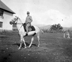 1942, Mészöly Leonóra, ló, Fortepan #27489