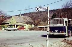 Magyarország, Budapest II.,Budapest III., Hármashatárhegyi út, autóbusz-végállomás a Fenyőgyöngye étterem előtt., 1980, Kristek Pál, Ikarus-márka, autóbusz, Ikarus 260, BKV-szervezet, megállóhely, buszmegálló, Budapest, rendszám, VAZ 2101, Wartburg 353, Polski Fiat 125p, Fortepan #274949