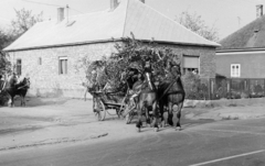 1976, Hajdú György, lovaskocsi, Fortepan #275082